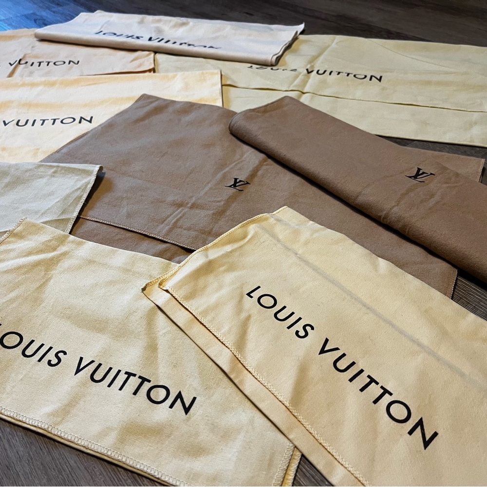 Louis Vuitton Shoe Bags